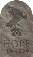 The Last HOPE